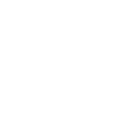 Google Partner Premier 2024